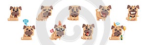 Funny Pug Dog Character with Cute Snout Vector Set photo