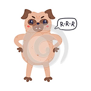 Funny Pug Dog Character with Wrinkly Angry Face Roaring Vector Illustration