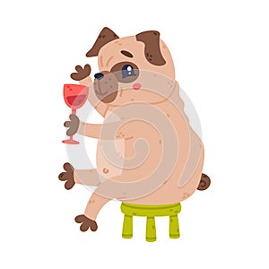 Funny Pug Dog Character with Wrinkly Face Drinking Wine Sitting on Chair Vector Illustration