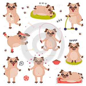 Funny Pug Dog Character with Wrinkly Face Engaged in Different Activity Vector Set