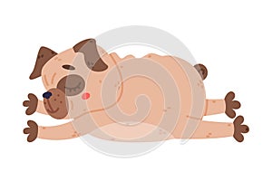 Funny Pug Dog Character with Wrinkly Face Lying Vector Illustration