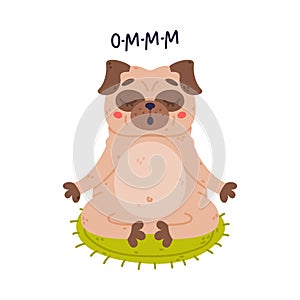 Funny Pug Dog Character with Wrinkly Face Meditating in Lotus Pose Vector Illustration