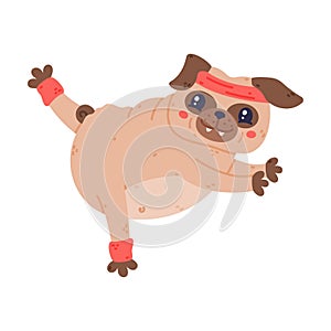 Funny Pug Dog Character with Wrinkly Face Stretching Doing Workout Vector Illustration