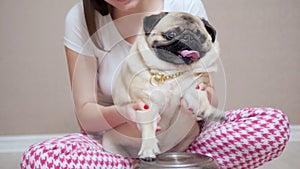 Funny pug dog play with paws on pan like a drums with her owner