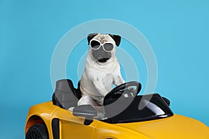 Funny pug dog with sunglasses in toy car on light blue background