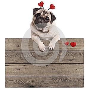 Funny pug puppy dog hanging with paws on blank wooden vintage promotional sign with red hearts, isolated on white background