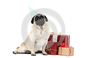 A funny pug sits near the boxes with gifts. On his head paper cap of a blue color. Isolated on white background.