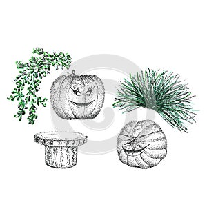 Funny pumpkins and plants using pointillism liner technique