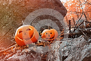 Funny pumpkins on rocks with leaves