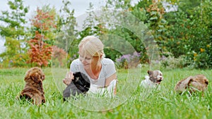 Funny puppies play near a woman who lies on the grass