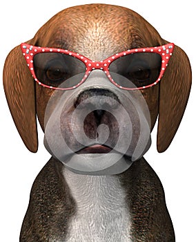 Funny Puppy Dog Sunglasses Isolated