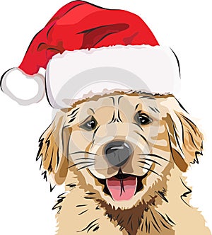 Funny Puppy/Golden retriever, in a red New Year`s cap, cute smiling puppy