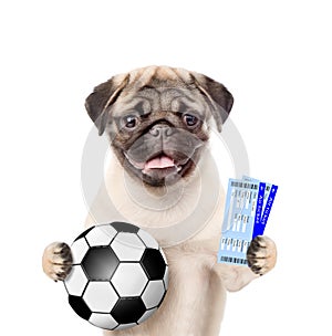 Funny puppy holding a soccer ball and tickets. Isolated on white background