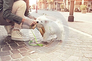 Funny puppy plays with his owner in urban place photo