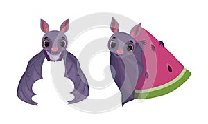 Funny Purple Bat with Cute Snout Flying and Holding Watermelon Vector Set