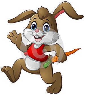 Funny rabbit cartoon holding a carrot