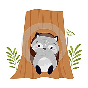 Funny Raccoon as Forest Animal Pepped Out from Tree Hollow Vector Illustration