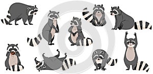 Funny Raccoon with Dexterous Front Paws and Ringed Tail Vector Set