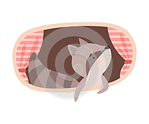 Funny Raccoon Peeped Out From Tree Hollow Vector Illustration