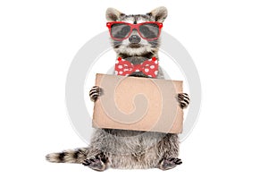 Funny raccoon in sunglasses and bow with banner in paw