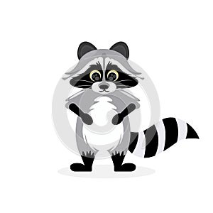 Funny raccoon on white background.
