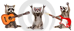 Funny raccoons musicians standing with guitars