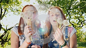 Funny redheaded twin girls teenagers play with dandelion flowers, blow off seeds. 180 fps slow motion video