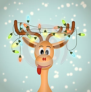 Funny reindeer with christmas lights
