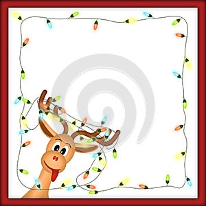 Funny reindeer with christmas lights in red frame
