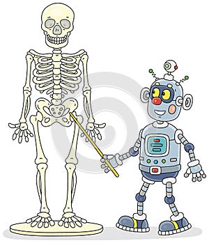 Funny robot at an Anatomy lesson with a skeleton