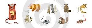 Funny Rodent Animal with Tail and Teeth Vector Set