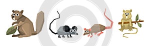 Funny Rodent Animal with Tail and Teeth Vector Set