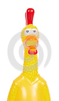 Funny rubber toy of chicken, screaming opened mouth. Isolated on white background