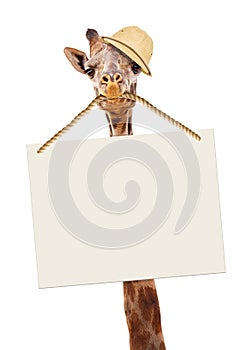 Funny Safari Giraffe Carrying Blank Sign