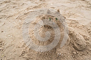 Funny sand sculpture of a cat on the beach. Summer holidays