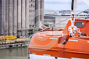 Funny seagull bird sitting on a lifeboat...