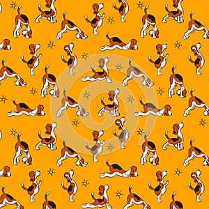 Funny seamless pattern with isolated cartoon dog doing yoga position of Surya Namaskara