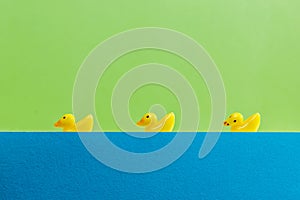funny set of three yellow ducks