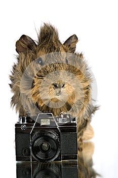 Funny shaggy photographer.