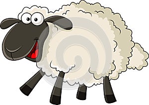 Funny sheep cartoon