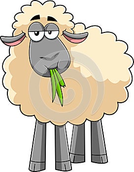 Funny Sheep Cartoon Character Eating A Grass