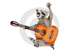 Funny singing raccoon with acoustic guitar