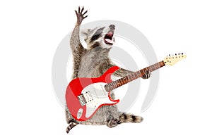 Funny singing raccoon with electric guitar photo