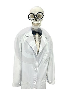 Funny skeleton doctor in scientific lab gown isolated on white