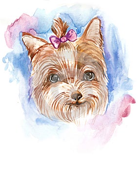 The funny small Yorkshire terrier puppy on white background  handmade with watercolors  fashion print, poster, textiles. photo