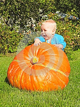 Funny smiling boy with big orange pumpkin