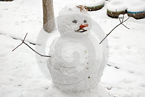 Funny snowman with carrot nose.