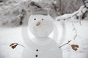 Funny snowman with a carrot instead of a nose and in a warm knitted hat on a snow-covered meadow