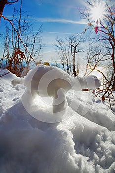 funny snowman turtle in rays of sun