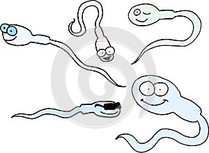 Funny spermatozoids photo